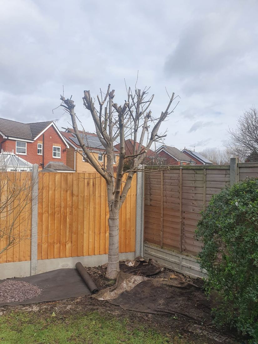 Landscaping Evesham (2022 Project)