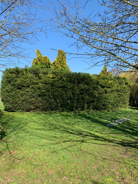 Hedge Cutting Worcester