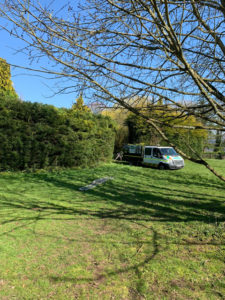 cutting hedge in pontypool