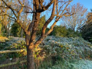 Landscaping Worcester