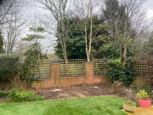 tree removal Worcester