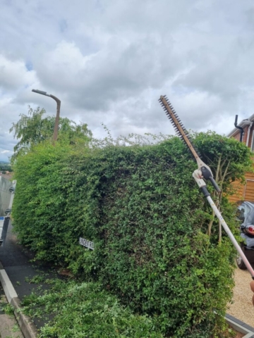Hedge Cutting Worcester