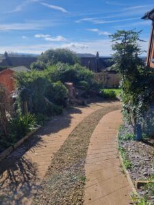 tree hedge maintenance worcester