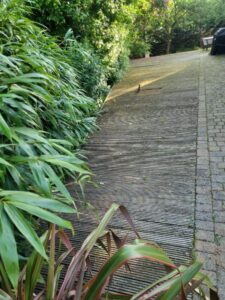 patio paving whittington