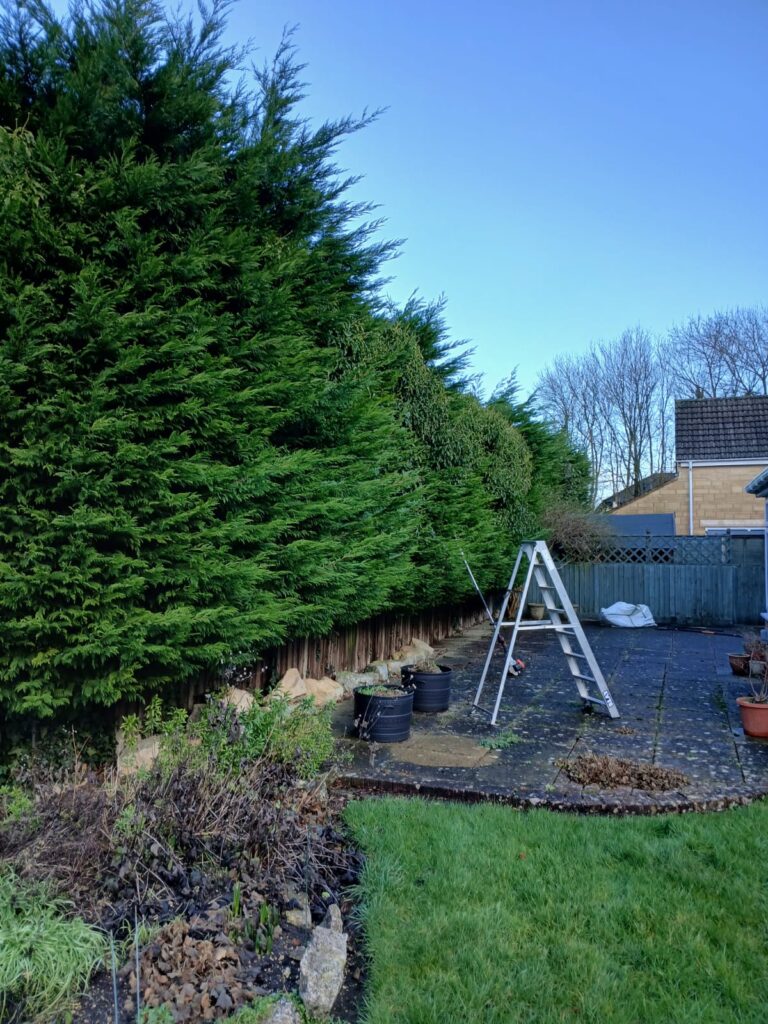 large hedge reduction in Worcester