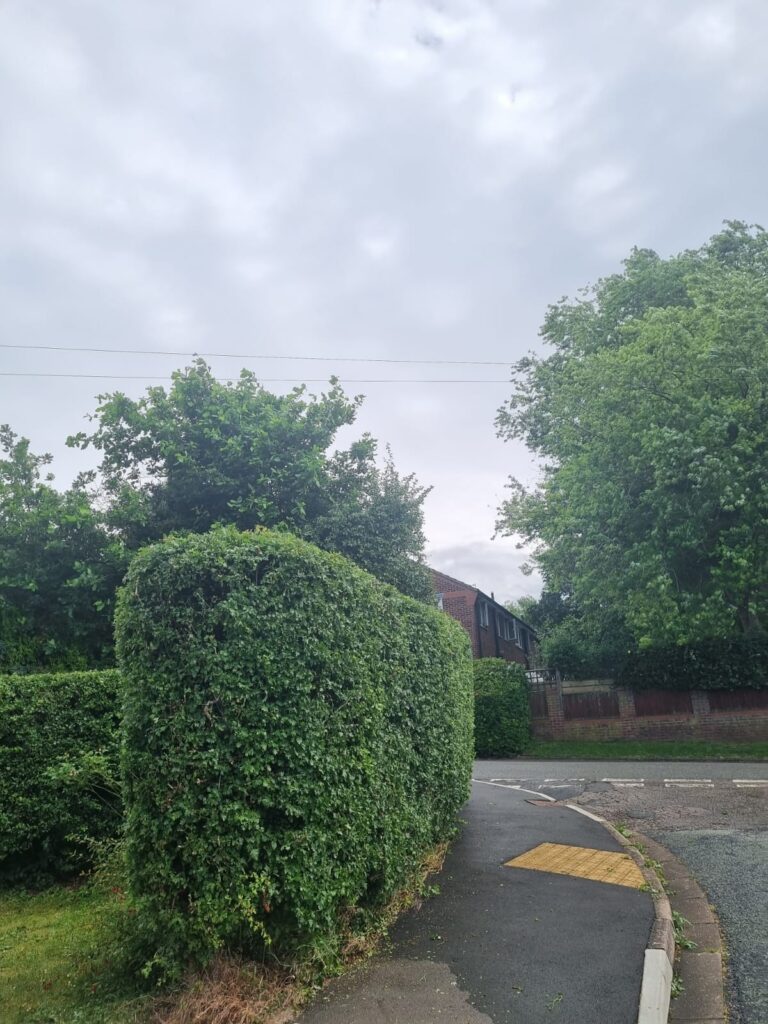 hedge cutting in kidderminster